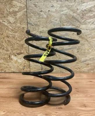 Rear coil spring