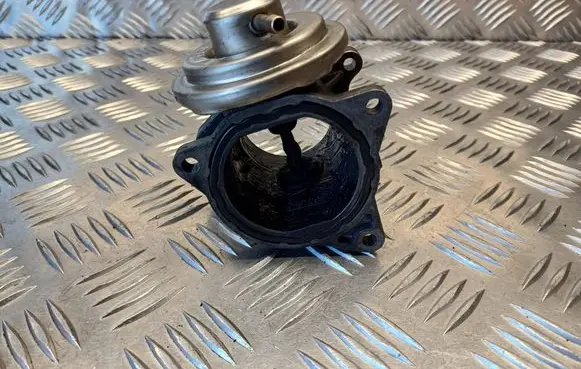 EGR valve