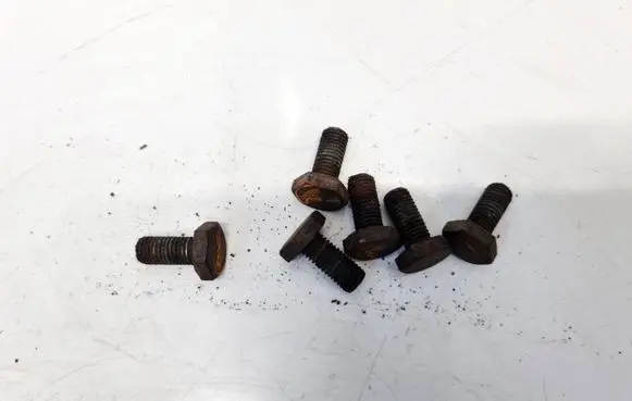 Nuts/bolts
