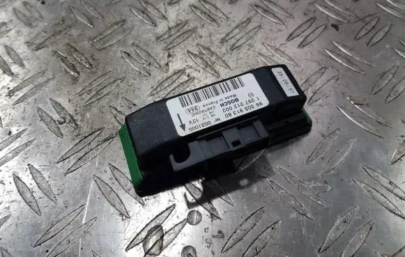 Peugeot 406 Rain sensor 9630591380 1397212002