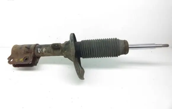 Hyundai Santa Fe Front shock absorber/damper
