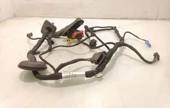Volkswagen Jetta VI Front door wiring loom 5CU971120B