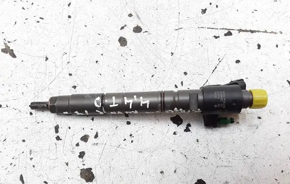 Land Rover Range Rover Evoque L538 Fuel injector