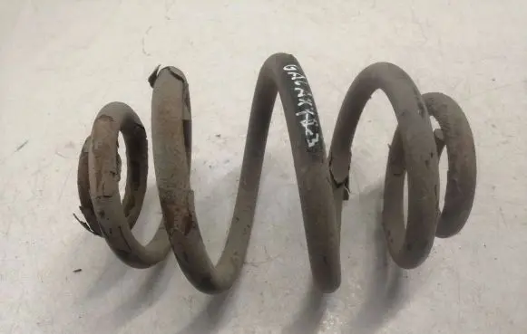 Rear coil spring