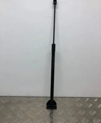 Tailgate/trunk strut/damper