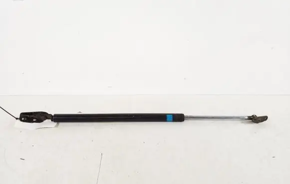 Tailgate strut