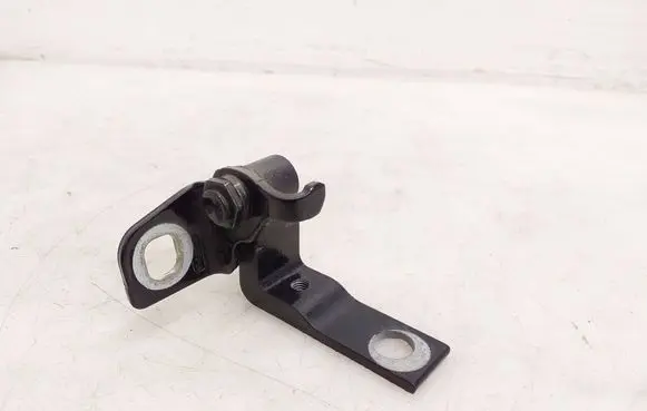 Ford Mustang Mach-E Rear door lower hinge