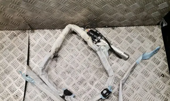 Volkswagen PASSAT B6 Roof airbag 3C0880742B
