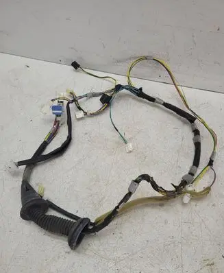 Front door wiring loom