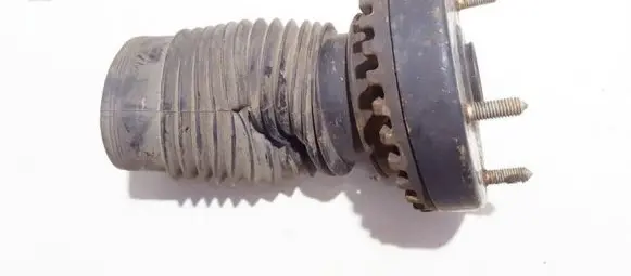 Coil spring mount