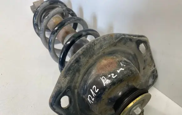 Chevrolet Camaro Rear shock absorber with coil spring 
