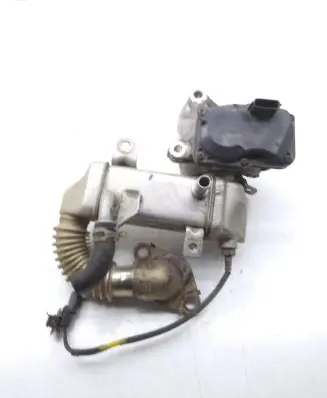 Renault Scenic III - Grand scenic III EGR valve H8201068965