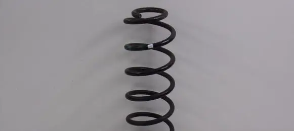 Ford Fusion Rear coil spring