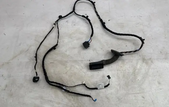 BMW X2 F39 Rear door wiring loom 19344411 5A3EB4701 WEGBA