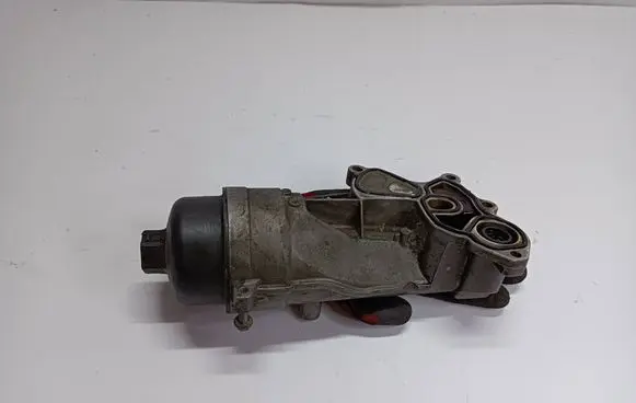 Peugeot 207 Oil filter mounting bracket V755852180 FL519