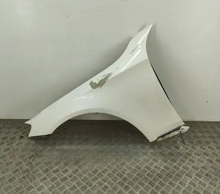 Mercedes-Benz S C217 Fender A2228810101