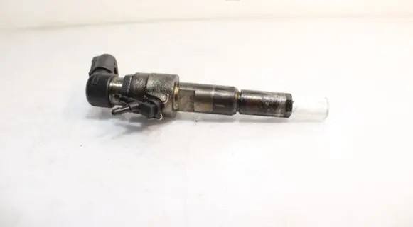 Citroen C2 Fuel injector