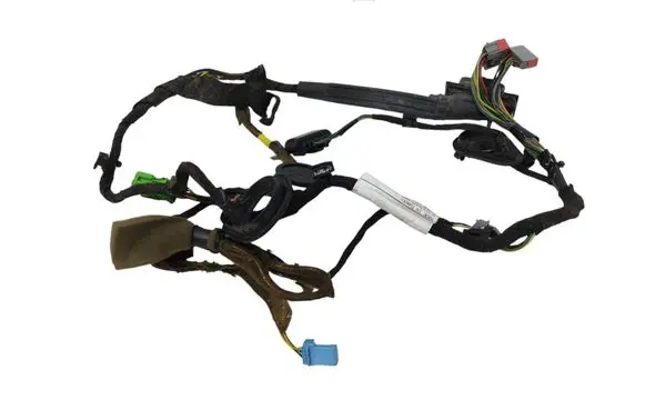 Front door wiring loom