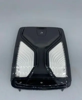 BMW X5 G05 Front seat light 5A25160 5A2516001 6202910011