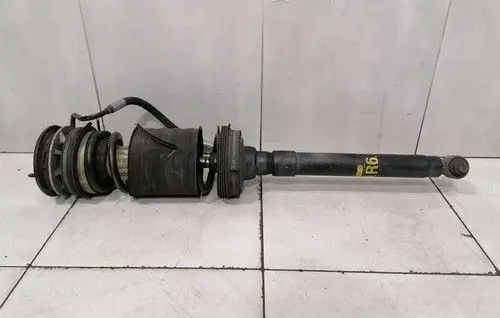 Mercedes-Benz S W221 Rear shock absorber with coil spring A2213206413