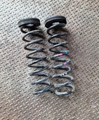 Rear coil spring