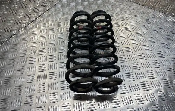 Rear coil spring