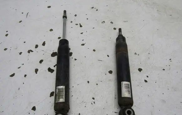Peugeot 3008 II Rear shock absorber/damper E3168305