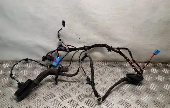 Skoda Superb B8 (3V) Front door wiring loom 3V2971121AG