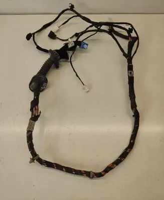 Front door wiring loom