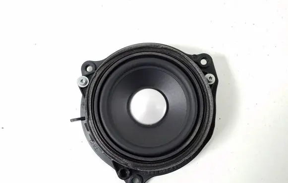 Rear door speaker