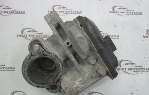 Renault Trafic III (X82) EGR valve 147102408R