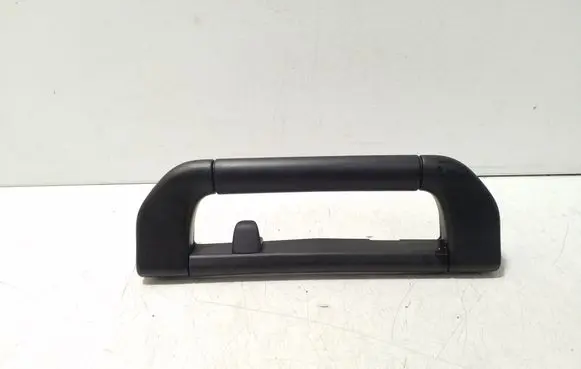 BMW X5 E53 Rear interior roof grab handle 8257226