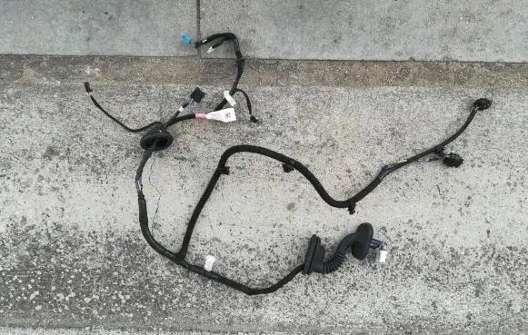 Tesla Model 3 Rear door wiring loom 2067966-00-B