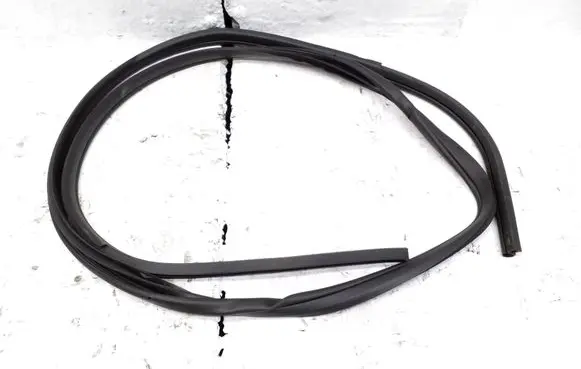 Nissan Juke II F16 Front door rubber seal 