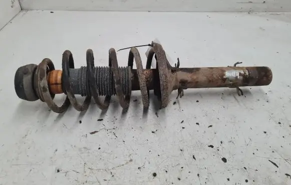 Volkswagen Golf IV Front shock absorber/damper