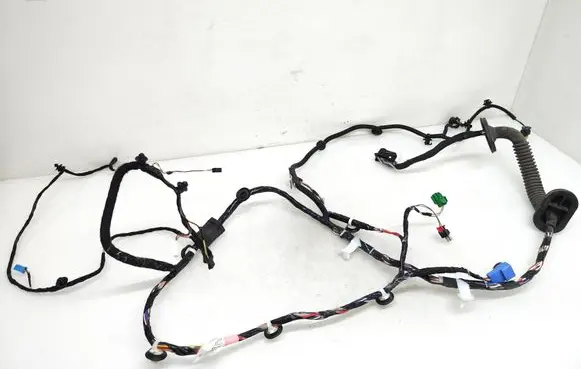 Front door wiring loom