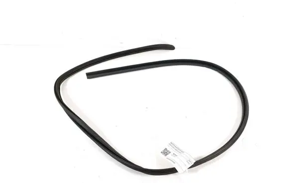 Opel Vivaro Front door rubber seal 