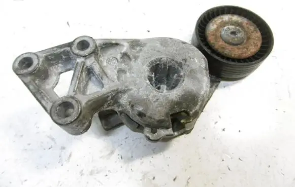 Volkswagen New Beetle Belt tensioner pulley 06A903315E