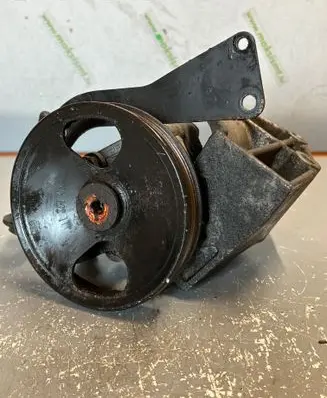 Nissan Almera Tino Power steering pump 7612955118