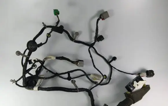 Front door wiring loom