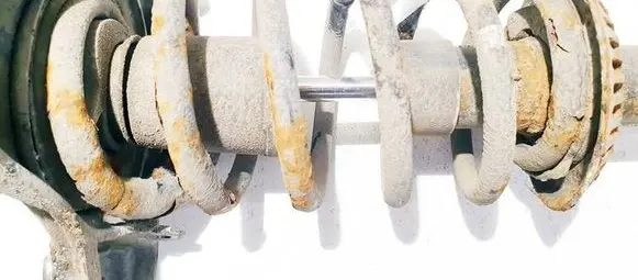 Front coil spring