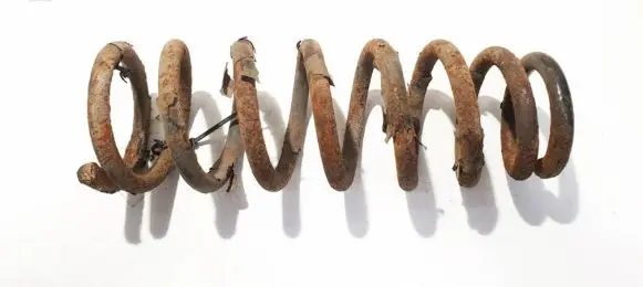 Hyundai Sonata Rear coil spring