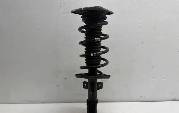 Opel Vivaro Front shock absorber/damper 9821596680