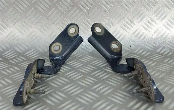 Ford Kuga III Tailgate/trunk/boot hinge LJ6BS42900AB
