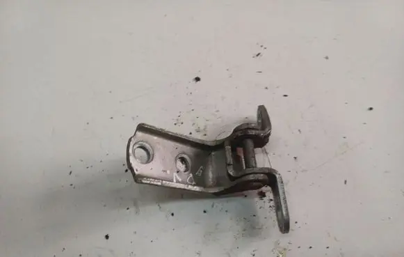 Rear door lower hinge