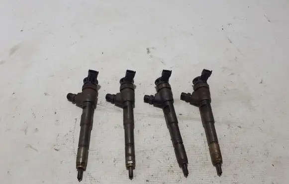 Renault Kangoo II Fuel injector 8201108033