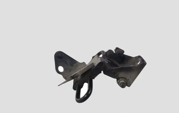 Seat Toledo III (5P) Rear door lower hinge