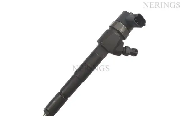 Opel Combo D Fuel injector 0445110300