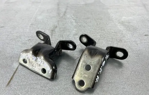 Rear door lower hinge