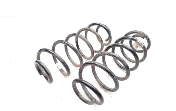 Rear coil spring